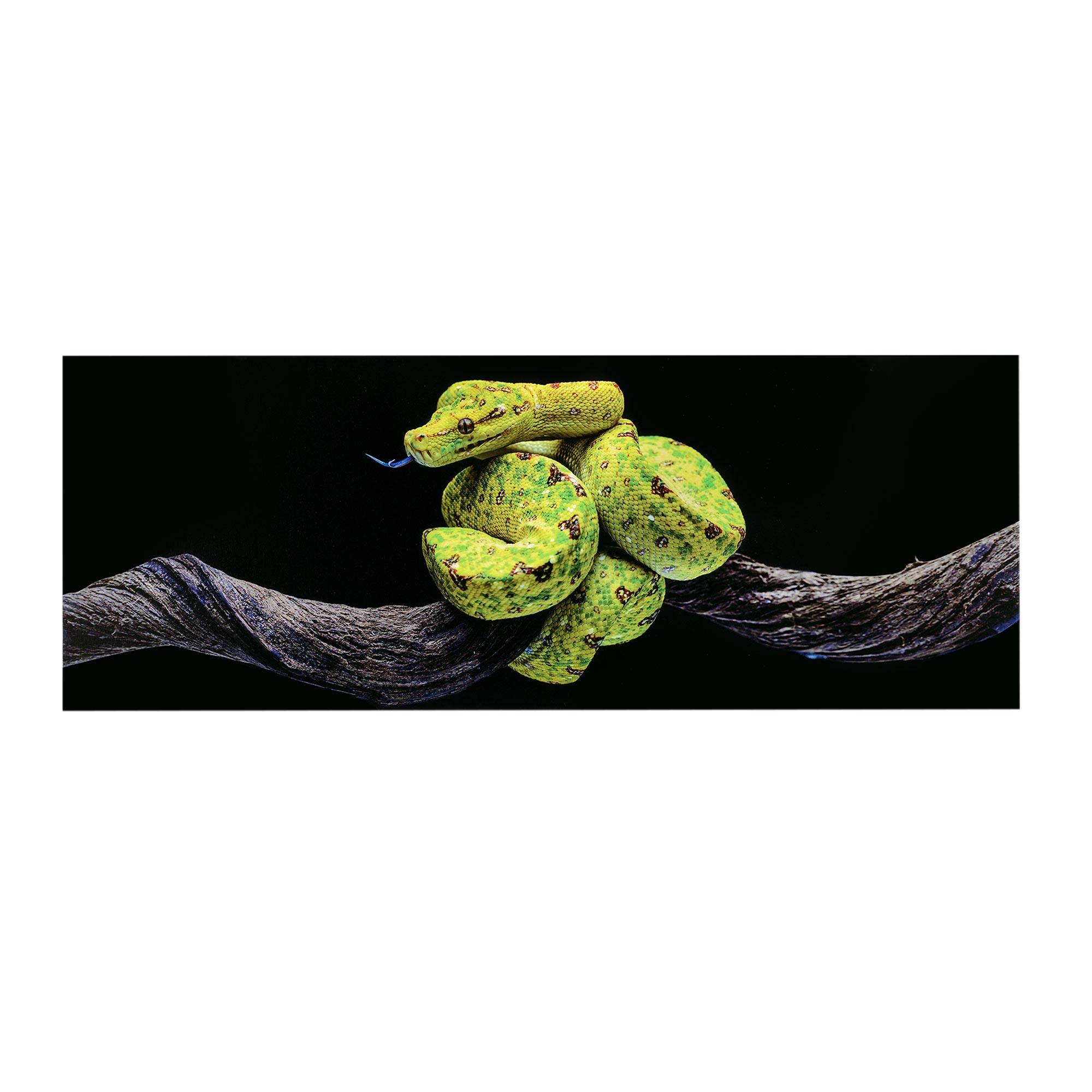 48" Green Tree Snake Glossy Lacquer Wall Art